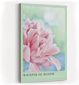 Paul Sinus Kunstdruck 40x60cm Whisper of Bloom – zarte Pfingstrose im Morgentau