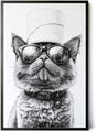 Paul Sinus Poster/Leinwandbild/Rahmenoption – Coole Katze mit Klopapierhut – Lustige WC-Deko für dein Badezimmer