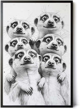 Paul Sinus Poster/Leinwandbild/Rahmenoption Lustiges Erdmännchenbild – Witzige Klo-Deko fürs Gäste-WC – Perfekt für Spaßvögel