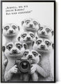 Paul Sinus Poster/Leinwandbild/Rahmenoption Lustiges Erdmännchenbild – Witzige Klo-Deko fürs Gäste-WC – Perfekt für Spaßvögel