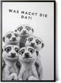 Paul Sinus Poster/Leinwandbild/Rahmenoption Lustiges Erdmännchenbild – Witzige Klo-Deko fürs Gäste-WC – Perfekt für Spaßvögel