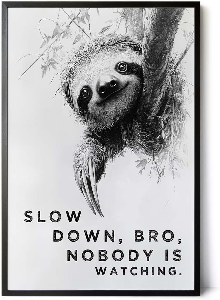 Paul Sinus Poster/Leinwandbild/Rahmenoption Lustiges Faultierbild – Witzige Klo-Deko fürs Gäste-WC – Perfekt für Entspannte