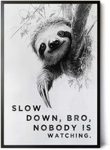 Paul Sinus Poster/Leinwandbild/Rahmenoption Lustiges Faultierbild – Witzige Klo-Deko fürs Gäste-WC – Perfekt für Entspannte