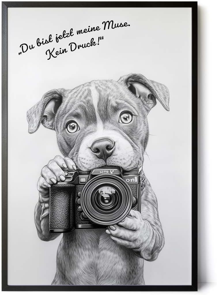 Paul Sinus Poster/Leinwandbild/Rahmenoption Lustiges Hundebild – Witzige Klo-Deko fürs Gäste-WC – Perfekt für Fotografie-Fans