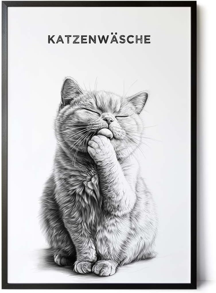 Paul Sinus Poster/Leinwandbild/Rahmenoption Lustiges Katzenbild – Witzige Klo-Deko fürs Badezimmer – Perfekt fürs Gäste-WC