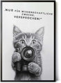 Paul Sinus Poster/Leinwandbild/Rahmenoption Lustiges Katzenbild – Witzige Klo-Deko fürs Gäste-WC – Perfekt für Humorvolle