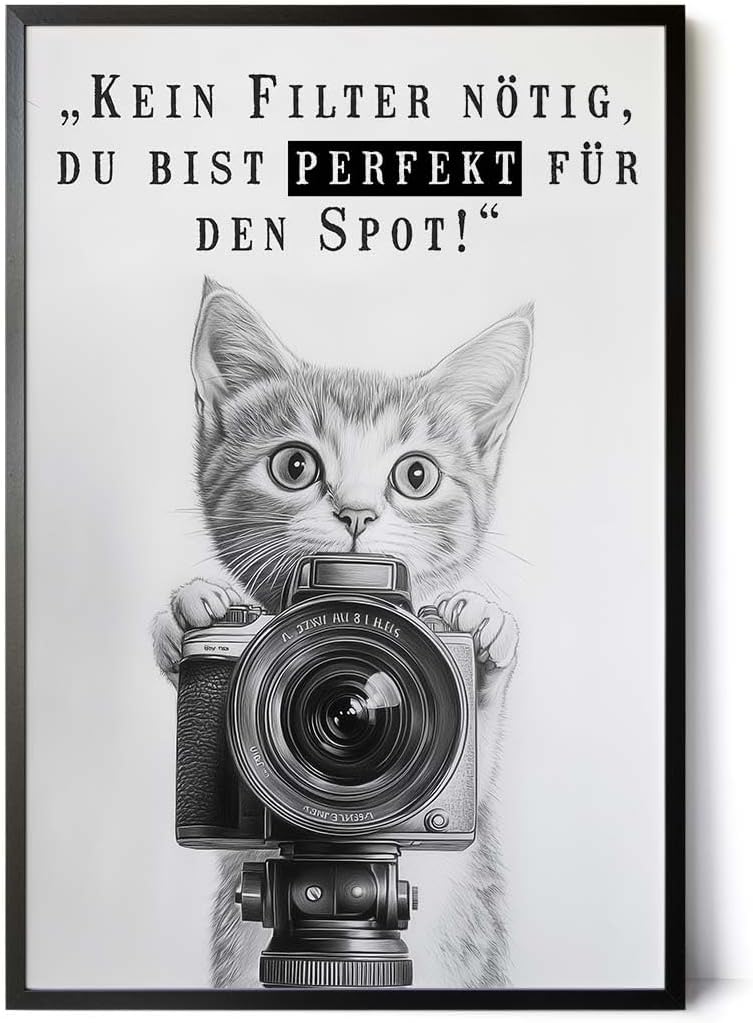 Paul Sinus Poster/Leinwandbild/Rahmenoption Lustiges Katzenbild – Witzige Klo-Deko fürs Gäste-WC – Perfekt für Humorvolle