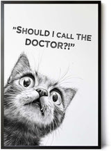 Paul Sinus Poster/Leinwandbild/Rahmenoption Lustiges Katzenbild – Witzige Klo-Deko fürs Gäste-WC – Perfekt für Humorvolle