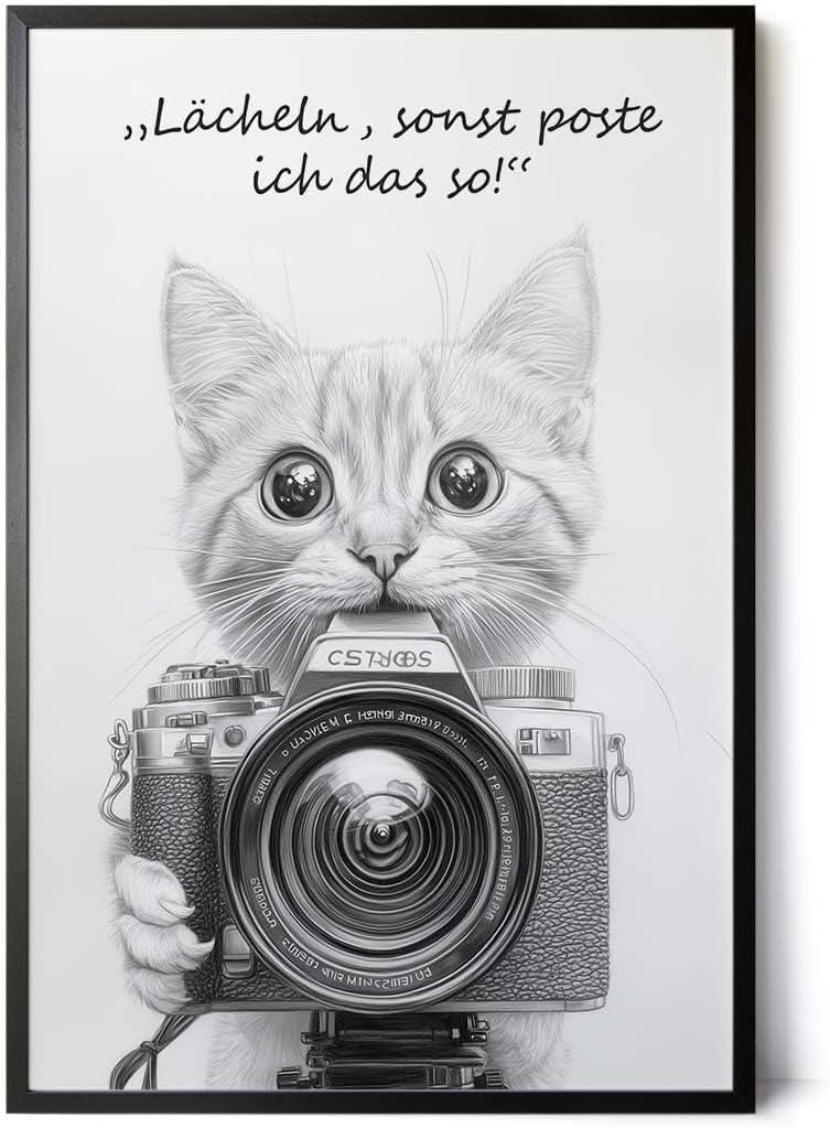 Paul Sinus Poster/Leinwandbild/Rahmenoption Lustiges Katzenbild – Witzige Klo-Deko fürs Gäste-WC – Perfekt für Social-Media-Fans