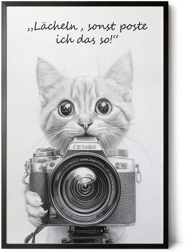 Paul Sinus Poster/Leinwandbild/Rahmenoption Lustiges Katzenbild – Witzige Klo-Deko fürs Gäste-WC – Perfekt für Social-Media-Fans