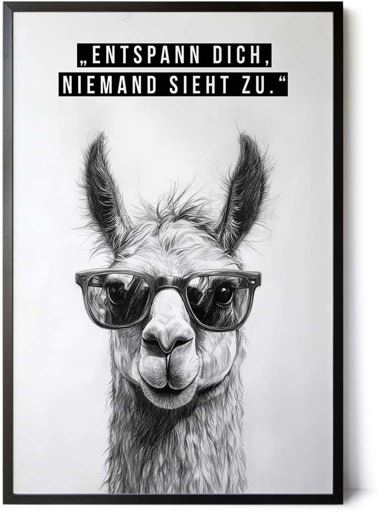 Paul Sinus Poster/Leinwandbild/Rahmenoption Lustiges Lamabild – Coole Klo-Deko fürs Gäste-WC – Perfekt für Humorvolle