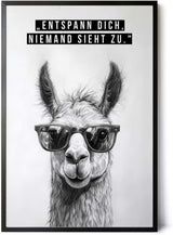 Paul Sinus Poster/Leinwandbild/Rahmenoption Lustiges Lamabild – Coole Klo-Deko fürs Gäste-WC – Perfekt für Humorvolle