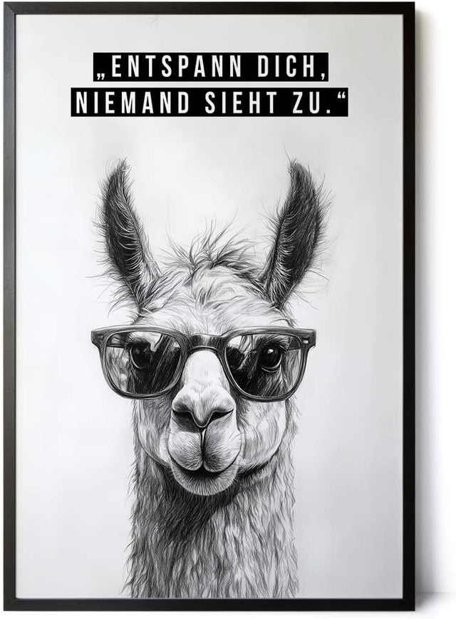 Paul Sinus Poster/Leinwandbild/Rahmenoption Lustiges Lamabild – Coole Klo-Deko fürs Gäste-WC – Perfekt für Humorvolle