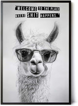 Paul Sinus Poster/Leinwandbild/Rahmenoption Lustiges Lamabild – Coole Klo-Deko fürs Gäste-WC – Perfekt für Humorvolle