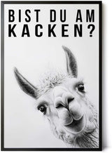 Paul Sinus Poster/Leinwandbild/Rahmenoption Lustiges Lamabild – Witzige Klo-Deko fürs Gäste-WC – Perfekt für Humorvolle