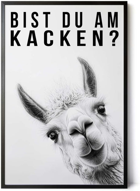Paul Sinus Poster/Leinwandbild/Rahmenoption Lustiges Lamabild – Witzige Klo-Deko fürs Gäste-WC – Perfekt für Humorvolle