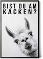 Paul Sinus Poster/Leinwandbild/Rahmenoption Lustiges Lamabild – Witzige Klo-Deko fürs Gäste-WC – Perfekt für Humorvolle