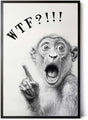 Paul Sinus Poster/Leinwandbild/Rahmenoption – Schockierter Affe „WTF?!“ – Lustige WC-Deko für dein Badezimmer