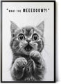 Paul Sinus Poster/Leinwandbild/Rahmenoption – Überraschtes Kätzchen „What the MEEEOOOOW?!“ – Lustige WC-Deko für dein Badezimmer