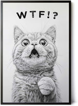Paul Sinus Poster/Leinwandbild/Rahmenoption – Überraschtes Kätzchen „WTF!?“ – Lustige WC-Deko für dein Badezimmer