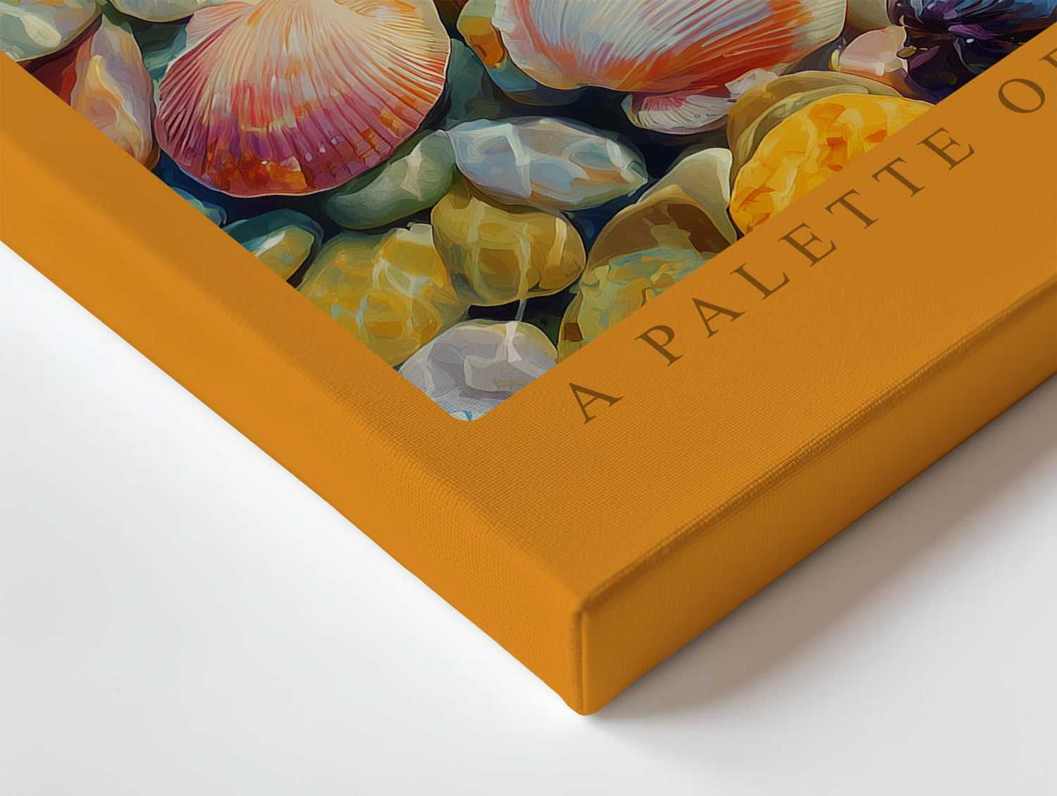 Paul Sinus Wandbild A Palette of Ocean Colors – Leuchtende Muscheln und Steine unter klarem Wasser, realistisches Meeresmotiv voller Lichtreflexe