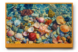Paul Sinus Wandbild A Palette of Ocean Colors – Leuchtende Muscheln und Steine unter klarem Wasser, realistisches Meeresmotiv voller Lichtreflexe