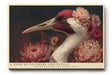 Paul Sinus Wandbild A Song of Feathers and Petals – Harmonische Verbindung aus Natur, Farbe und Anmut
