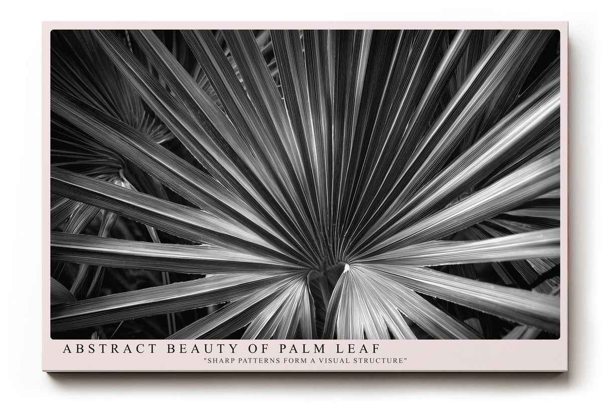 Paul Sinus Wandbild Abstract Beauty of Palm Leaf Sharp Patterns Form a Visual Structure