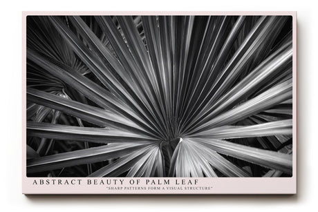 Paul Sinus Wandbild Abstract Beauty of Palm Leaf Sharp Patterns Form a Visual Structure