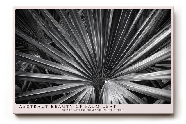 Paul Sinus Wandbild Abstract Beauty of Palm Leaf Sharp Patterns Form a Visual Structure