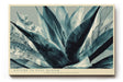 Paul Sinus Wandbild 120x80cm abstrakte Agave Pflanze moderne botanische Illustration blau gruene Naturkunst stilvolle Wanddekoration fuer Wohnzimmer Büro