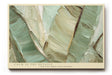 Paul Sinus Wandbild 120x80cm abstrakte Blattstruktur gruen beige moderne Naturtextur Kunst Wanddekoration fuer Wohnzimmer Büro