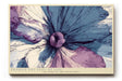 Paul Sinus Wandbild 120x80cm abstrakte Bluete moderne florale Kunst in Blau und Violett kuenstlerische Makro Blume stilvolle Wanddekoration fuer Wohnzimmer Büro