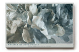 Paul Sinus Wandbild 120x80cm abstrakte Blume modern grau beige floral Kunst Kunstdruck grosses Kunstbild elegante Wanddekoration fuer Wohnzimmer Büro Flur
