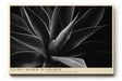 Paul Sinus Wandbild 120x80cm abstrakte Blumenform schwarz weiss moderne botanische Kunst minimalistische Wanddekoration fuer Wohnzimmer Büro