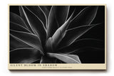 Paul Sinus Wandbild 120x80cm abstrakte Blumenform schwarz weiss moderne botanische Kunst minimalistische Wanddekoration fuer Wohnzimmer Büro