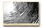Paul Sinus Wandbild 120x80cm abstrakte Linienkunst Schwarz Weiss moderne grafische Wellen Struktur minimalistisches Kunstbild stilvolle Wanddekoration für Wohnzimmer Büro Flur