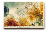Paul Sinus Wandbild 120x80cm abstrakte Mikrostruktur Makrofotografie organische Formen moderne Naturkunst stilvolle Wanddekoration fuer Wohnzimmer Büro