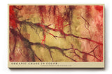 Paul Sinus Wandbild 120x80cm abstrakte Naturstruktur modern rot beige organische Formen Kunst Kunstdruck grosses Kunstbild stilvolle Wanddekoration fuer Wohnzimmer Büro Flur