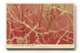 Paul Sinus Wandbild 120x80cm abstrakte Naturstruktur organische Linien rot beige moderne Kunststruktur zeitgenössische