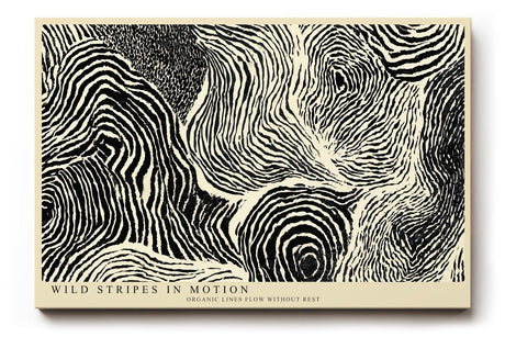Paul Sinus Wandbild 120x80cm Abstrakte Schwarz Weiss Linienstruktur moderne grafische Kunst Wanddekoration
