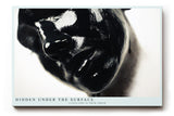 Paul Sinus Wandbild 120x80cm abstraktes Porträt schwarze Flüssigkeit moderne Fotokunst dramatische Kontraste geheimnisvolle Atmosphäre großes Kunstbild moderne