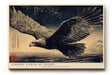 Paul Sinus Wandbild 120x80cm Adler unter Sternenhimmel Japanische Kunst Schwarz Gold Wanddekoration Wohnzimmer