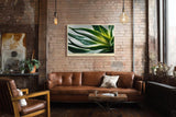 Paul Sinus Wandbild 120x80cm Agave Makrofotografie gruene Sukkulente mit Wassertropfen moderne botanische Naturkunst stilvolle Wanddekoration fuer Wohnzimmer Büro