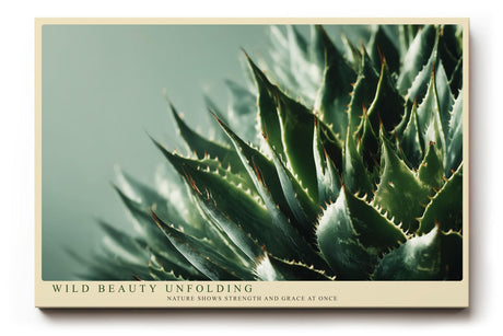 Paul Sinus Wandbild 120x80cm Agave Pflanze Makroaufnahme gruene Naturfotografie moderne botanische Kunst stilvolle Wanddekoration fuer Wohnzimmer Büro