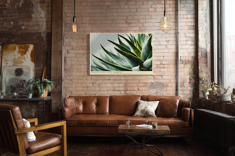 Paul Sinus Wandbild 120x80cm Agave Pflanze Makrofotografie gruene Sukkulente moderne Naturkunst stilvolle botanische Wanddekoration fuer Wohnzimmer Büro