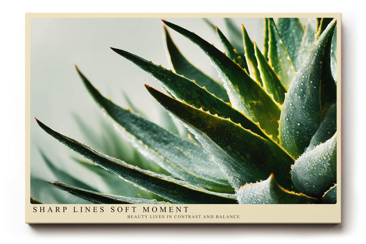 Paul Sinus Wandbild 120x80cm Agave Pflanze Makrofotografie gruene Sukkulente moderne Naturkunst stilvolle botanische Wanddekoration fuer Wohnzimmer Büro