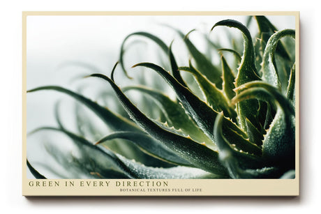 Paul Sinus Wandbild 120x80cm Aloe Pflanze Makrofotografie grüne botanische Naturkunst modernes Pflanzenposter für Wohnzimmer Schlafzimmer Büro Flur