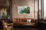 Paul Sinus Wandbild 120x80cm Aloe Pflanze Makrofotografie grüne botanische Naturkunst modernes Pflanzenposter für Wohnzimmer Schlafzimmer Büro Flur