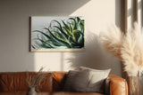 Paul Sinus Wandbild 120x80cm Aloe Pflanze Makrofotografie grüne botanische Naturkunst modernes Pflanzenposter für Wohnzimmer Schlafzimmer Büro Flur